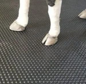 Cow Mat - Hammer Top 6ft x 4ft x 17mm